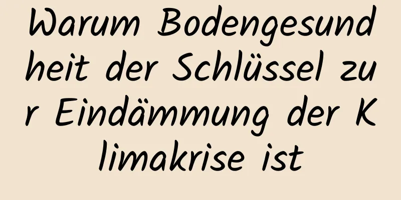 Warum Bodengesundheit der Schlüssel zur Eindämmung der Klimakrise ist