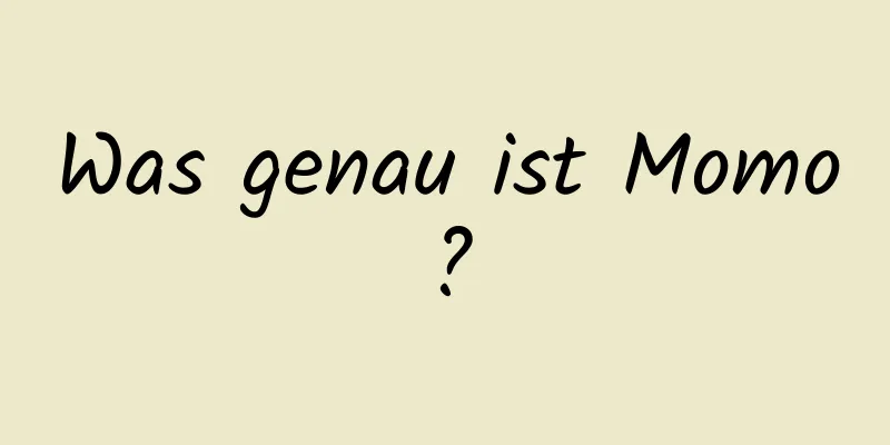 Was genau ist Momo?