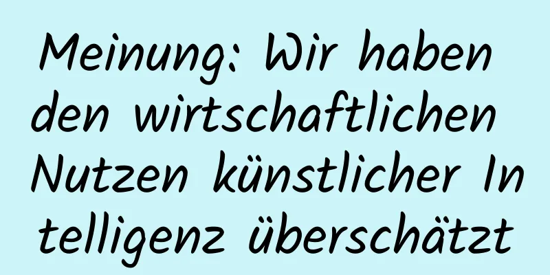 Meinung: Wir haben den wirtschaftlichen Nutzen künstlicher Intelligenz überschätzt