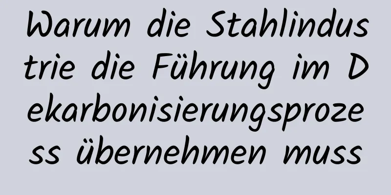 Warum die Stahlindustrie die Führung im Dekarbonisierungsprozess übernehmen muss