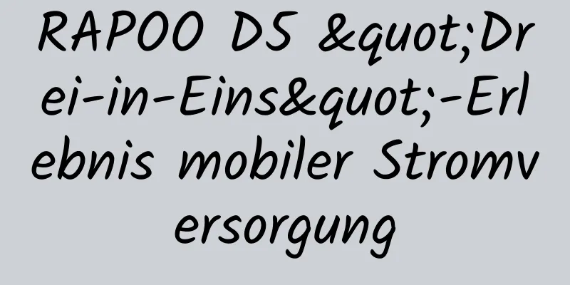 RAPOO D5 "Drei-in-Eins"-Erlebnis mobiler Stromversorgung