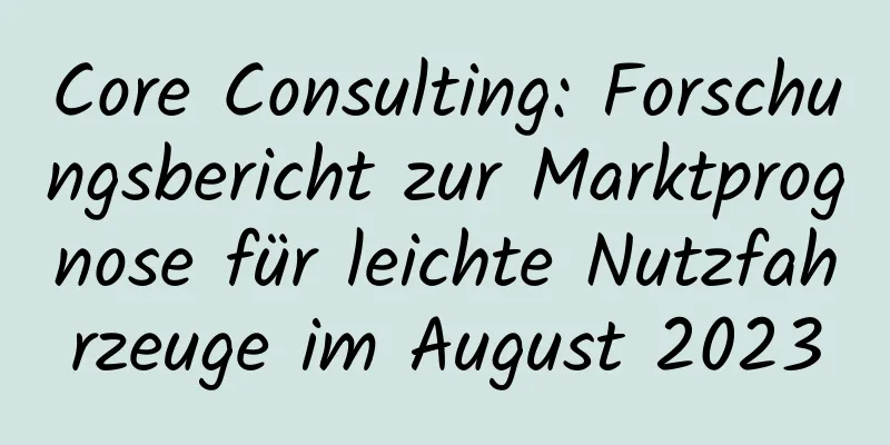Core Consulting: Forschungsbericht zur Marktprognose für leichte Nutzfahrzeuge im August 2023