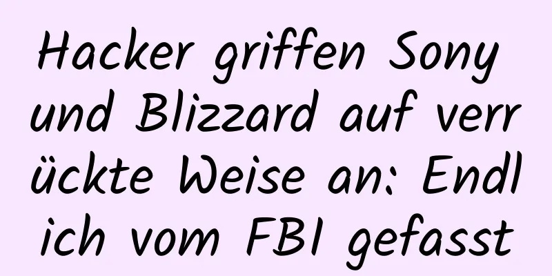 Hacker griffen Sony und Blizzard auf verrückte Weise an: Endlich vom FBI gefasst