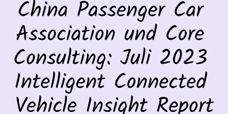 China Passenger Car Association und Core Consulting: Juli 2023 Intelligent Connected Vehicle Insight Report