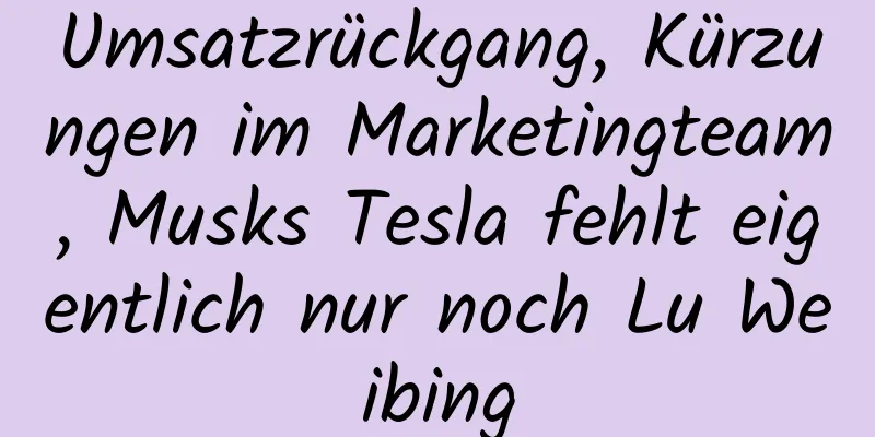 Umsatzrückgang, Kürzungen im Marketingteam, Musks Tesla fehlt eigentlich nur noch Lu Weibing