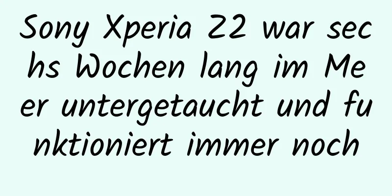 Sony Xperia Z2 war sechs Wochen lang im Meer untergetaucht und funktioniert immer noch