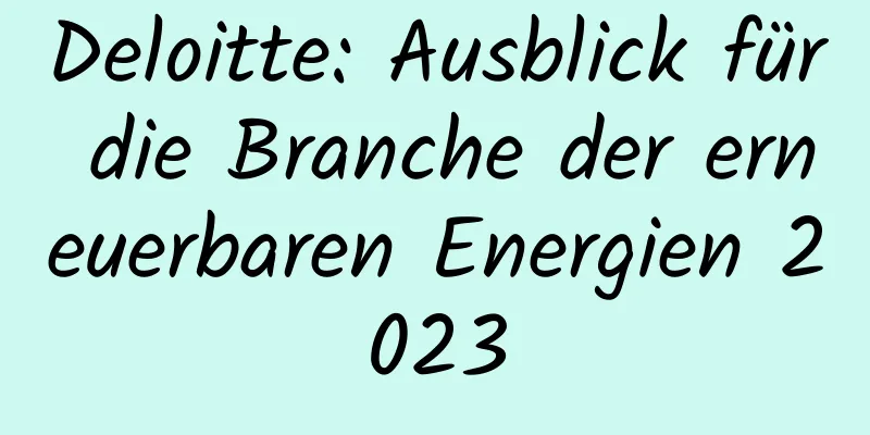 Deloitte: Ausblick für die Branche der erneuerbaren Energien 2023