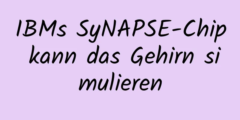 IBMs SyNAPSE-Chip kann das Gehirn simulieren