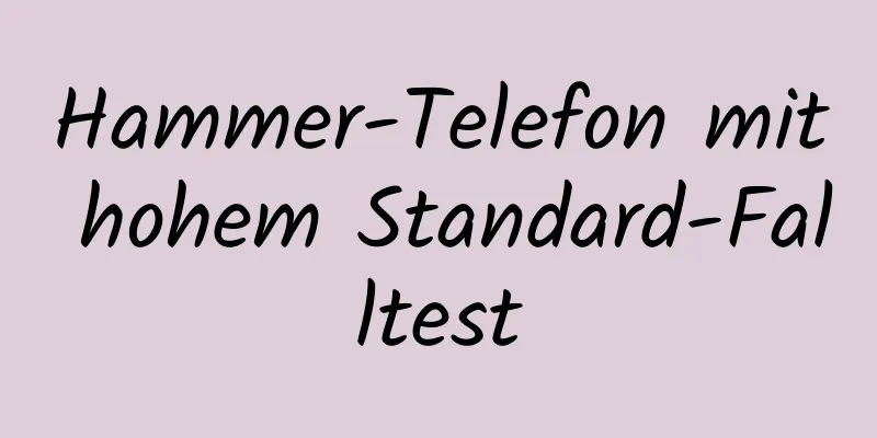 Hammer-Telefon mit hohem Standard-Falltest