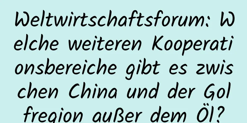 Weltwirtschaftsforum: Welche weiteren Kooperationsbereiche gibt es zwischen China und der Golfregion außer dem Öl?
