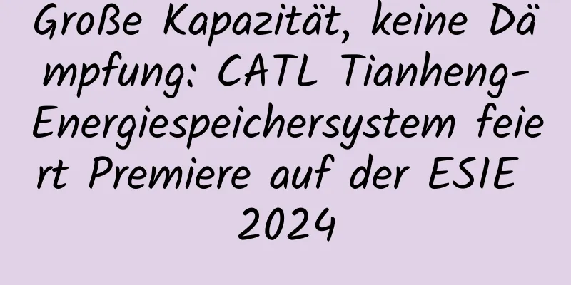 Große Kapazität, keine Dämpfung: CATL Tianheng-Energiespeichersystem feiert Premiere auf der ESIE 2024