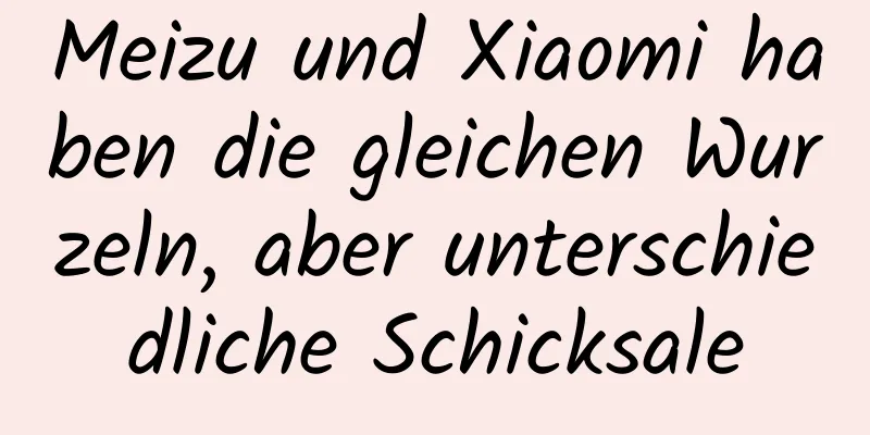 Meizu und Xiaomi haben die gleichen Wurzeln, aber unterschiedliche Schicksale