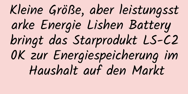 Kleine Größe, aber leistungsstarke Energie Lishen Battery bringt das Starprodukt LS-C20K zur Energiespeicherung im Haushalt auf den Markt