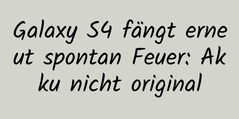 Galaxy S4 fängt erneut spontan Feuer: Akku nicht original