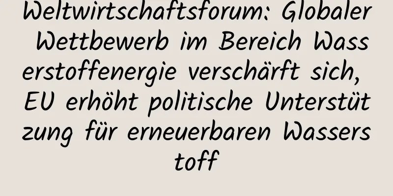 Weltwirtschaftsforum: Globaler Wettbewerb im Bereich Wasserstoffenergie verschärft sich, EU erhöht politische Unterstützung für erneuerbaren Wasserstoff