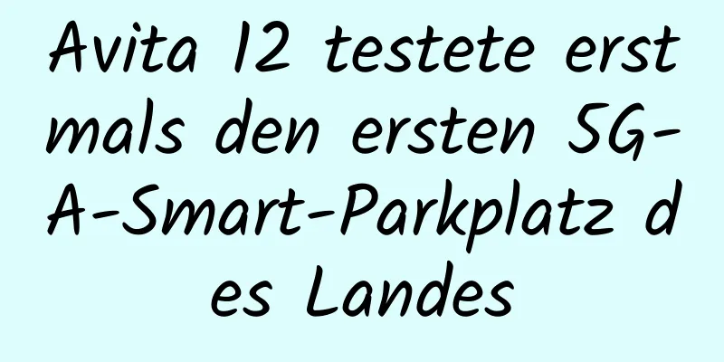 Avita 12 testete erstmals den ersten 5G-A-Smart-Parkplatz des Landes