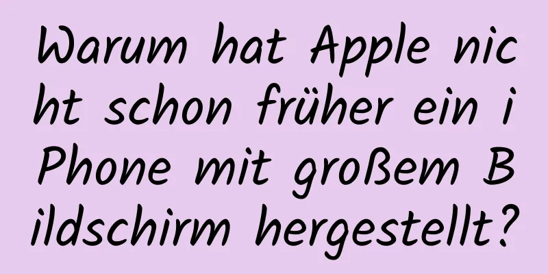 Warum hat Apple nicht schon früher ein iPhone mit großem Bildschirm hergestellt?