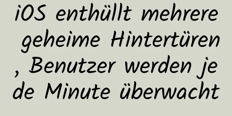 iOS enthüllt mehrere geheime Hintertüren, Benutzer werden jede Minute überwacht
