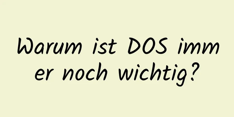 Warum ist DOS immer noch wichtig?