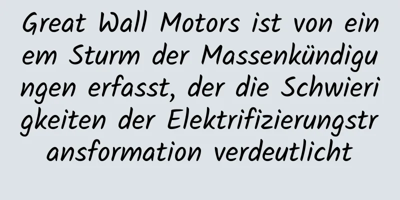 Great Wall Motors ist von einem Sturm der Massenkündigungen erfasst, der die Schwierigkeiten der Elektrifizierungstransformation verdeutlicht