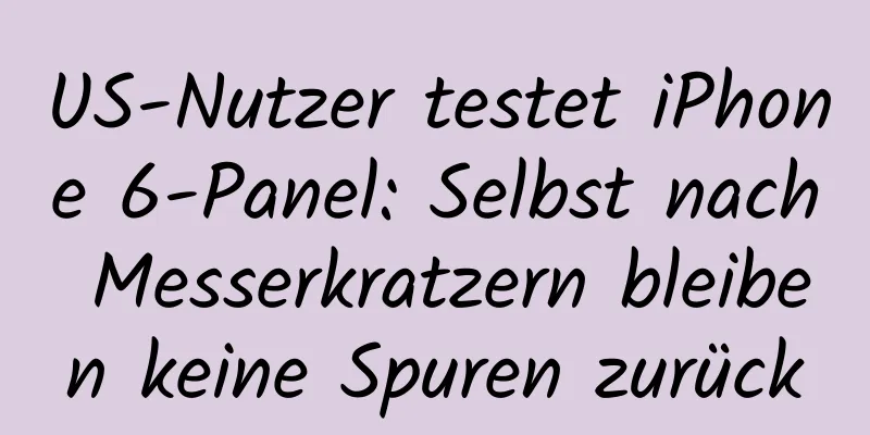 US-Nutzer testet iPhone 6-Panel: Selbst nach Messerkratzern bleiben keine Spuren zurück