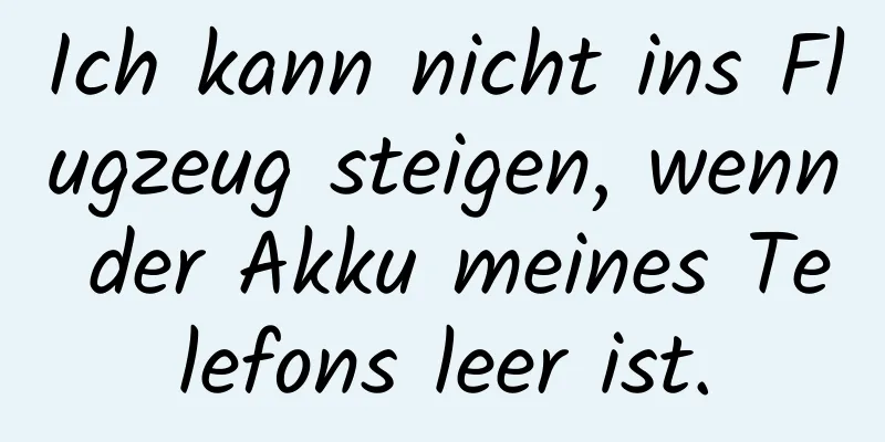 Ich kann nicht ins Flugzeug steigen, wenn der Akku meines Telefons leer ist.