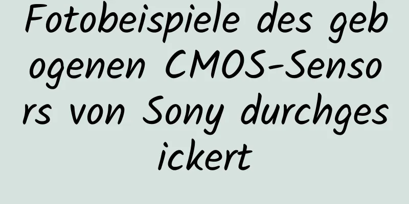 Fotobeispiele des gebogenen CMOS-Sensors von Sony durchgesickert