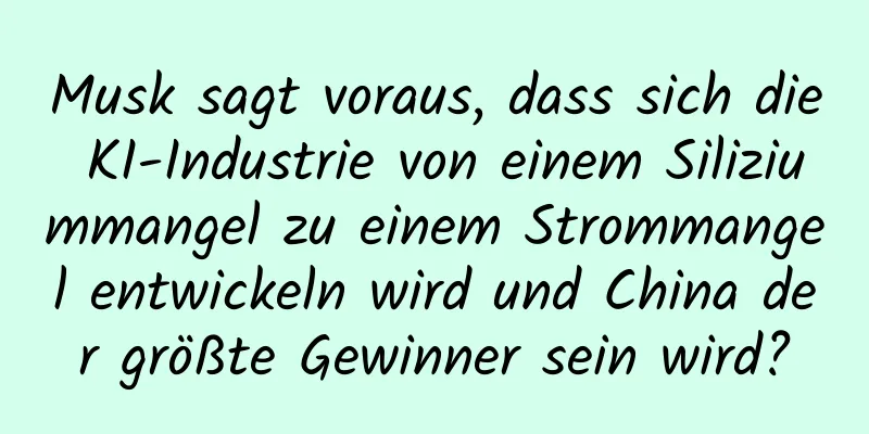 Musk sagt voraus, dass sich die KI-Industrie von einem Siliziummangel zu einem Strommangel entwickeln wird und China der größte Gewinner sein wird?