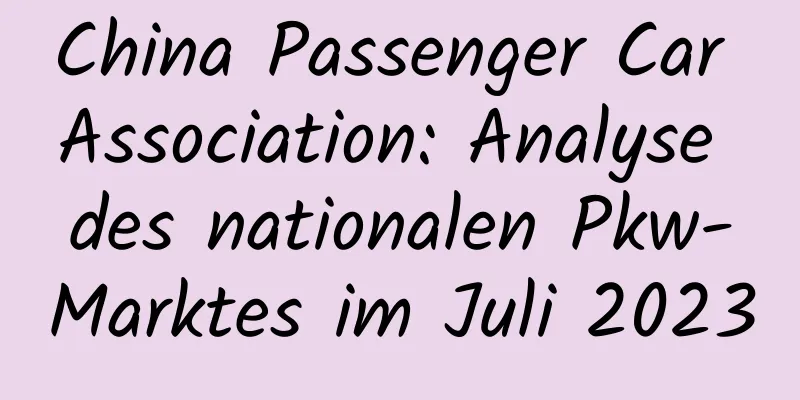 China Passenger Car Association: Analyse des nationalen Pkw-Marktes im Juli 2023