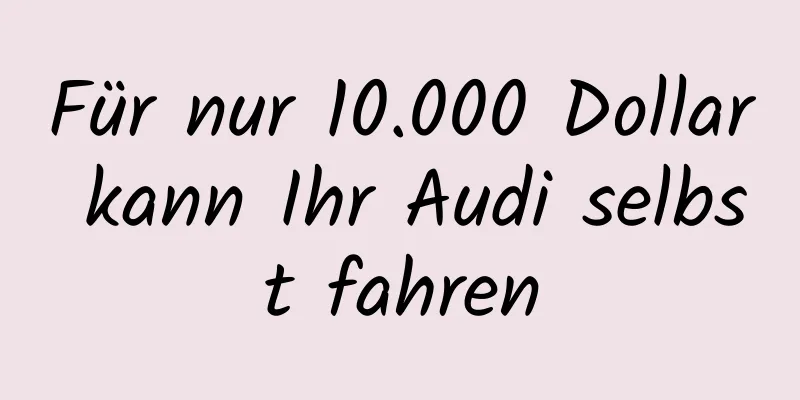 Für nur 10.000 Dollar kann Ihr Audi selbst fahren