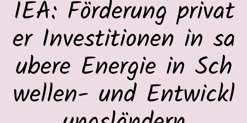 IEA: Förderung privater Investitionen in saubere Energie in Schwellen- und Entwicklungsländern