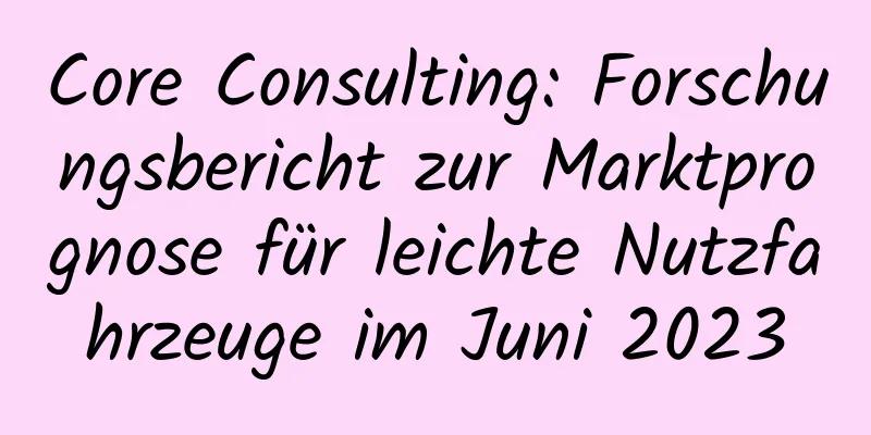 Core Consulting: Forschungsbericht zur Marktprognose für leichte Nutzfahrzeuge im Juni 2023