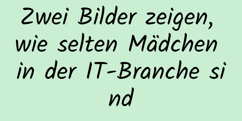 Zwei Bilder zeigen, wie selten Mädchen in der IT-Branche sind
