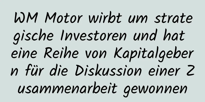 WM Motor wirbt um strategische Investoren und hat eine Reihe von Kapitalgebern für die Diskussion einer Zusammenarbeit gewonnen