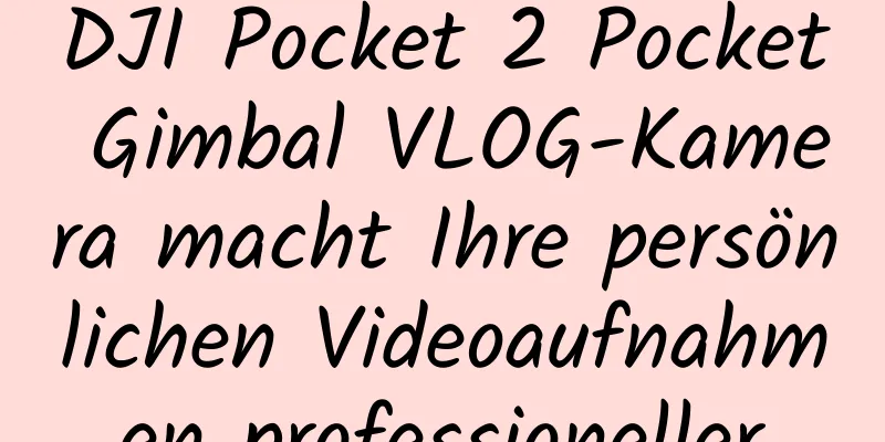 DJI Pocket 2 Pocket Gimbal VLOG-Kamera macht Ihre persönlichen Videoaufnahmen professioneller