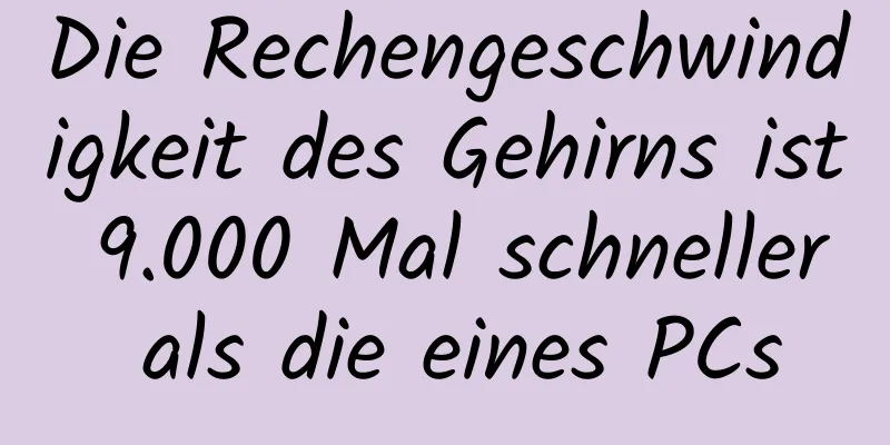 Die Rechengeschwindigkeit des Gehirns ist 9.000 Mal schneller als die eines PCs