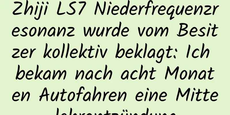 Zhiji LS7 Niederfrequenzresonanz wurde vom Besitzer kollektiv beklagt: Ich bekam nach acht Monaten Autofahren eine Mittelohrentzündung