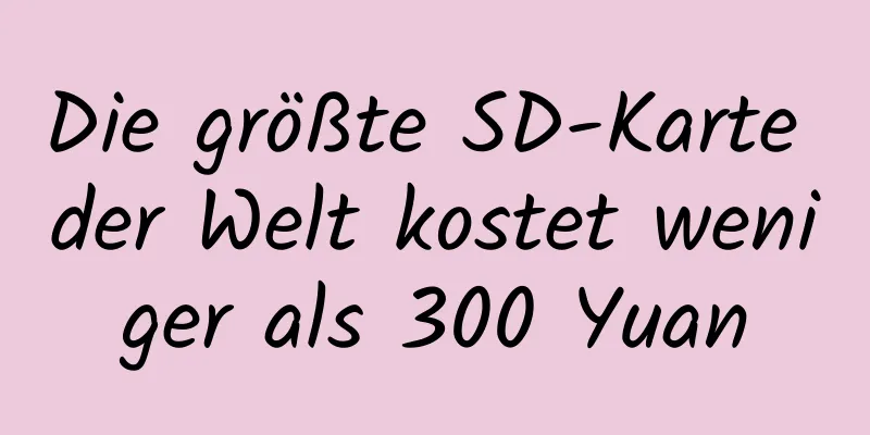 Die größte SD-Karte der Welt kostet weniger als 300 Yuan