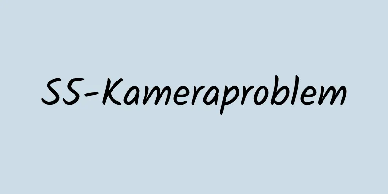 S5-Kameraproblem