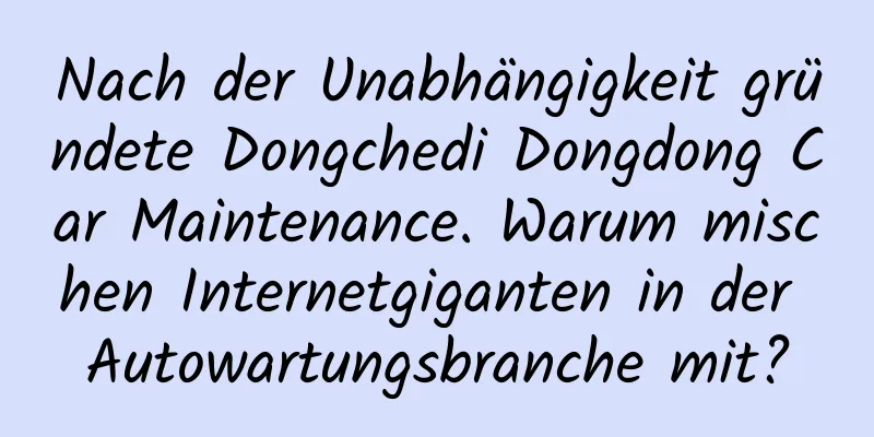 Nach der Unabhängigkeit gründete Dongchedi Dongdong Car Maintenance. Warum mischen Internetgiganten in der Autowartungsbranche mit?