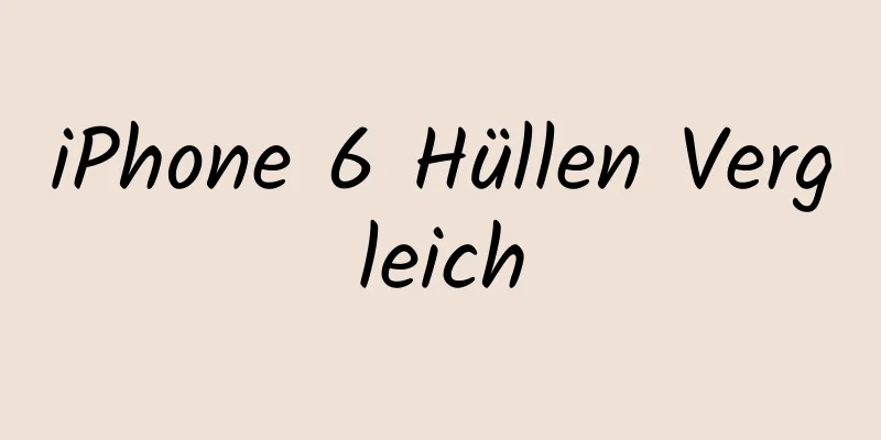 iPhone 6 Hüllen Vergleich