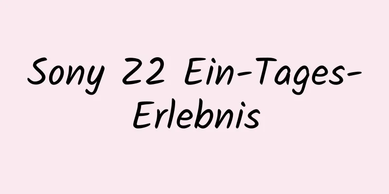Sony Z2 Ein-Tages-Erlebnis