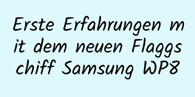 Erste Erfahrungen mit dem neuen Flaggschiff Samsung WP8