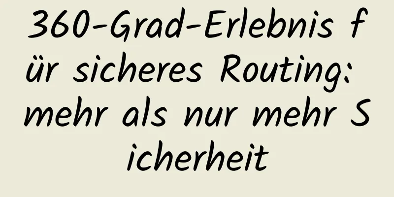 360-Grad-Erlebnis für sicheres Routing: mehr als nur mehr Sicherheit