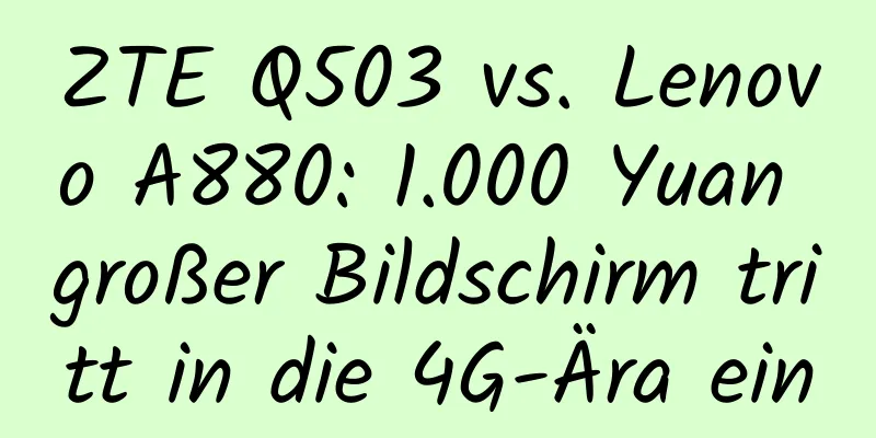 ZTE Q503 vs. Lenovo A880: 1.000 Yuan großer Bildschirm tritt in die 4G-Ära ein