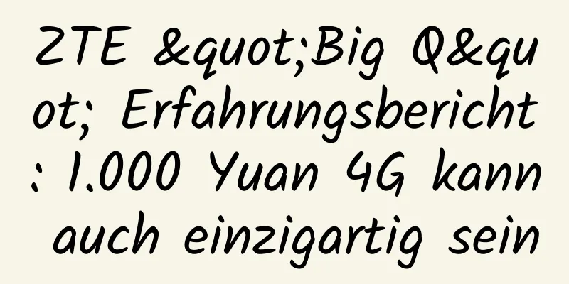 ZTE "Big Q" Erfahrungsbericht: 1.000 Yuan 4G kann auch einzigartig sein