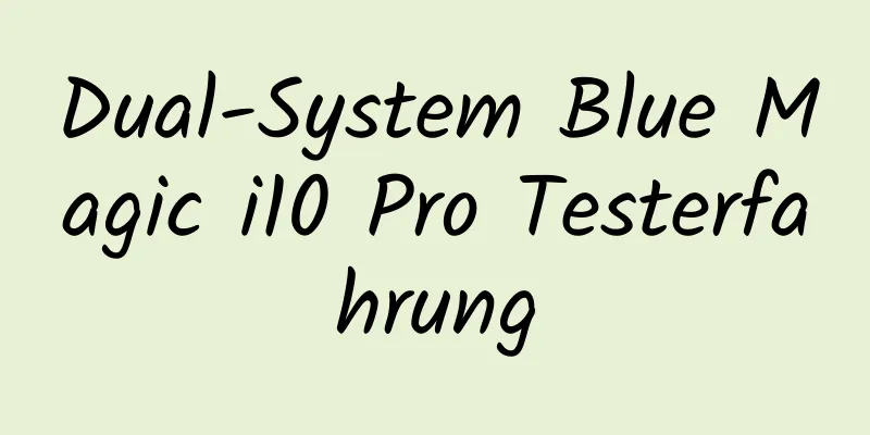 Dual-System Blue Magic i10 Pro Testerfahrung