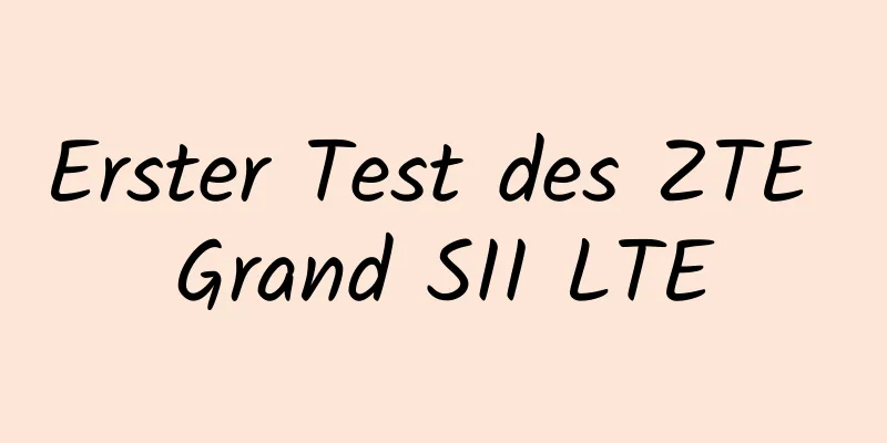 Erster Test des ZTE Grand SII LTE
