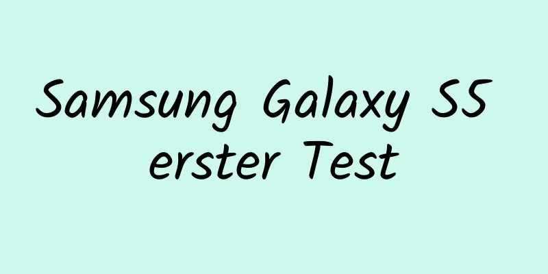 Samsung Galaxy S5 erster Test