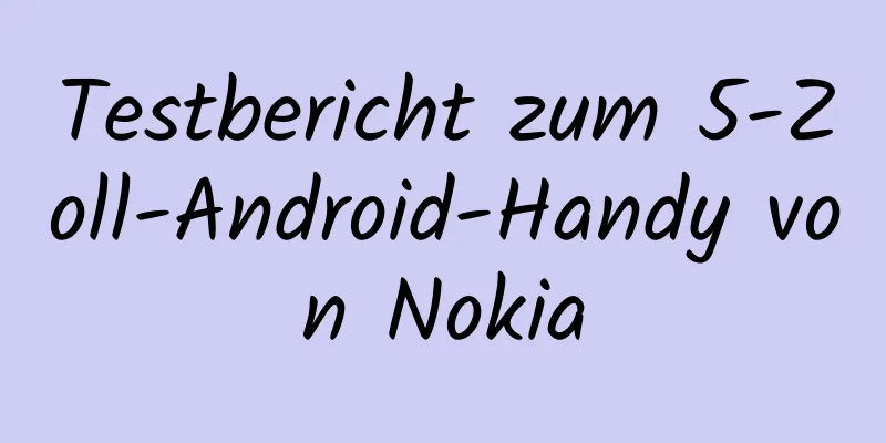 Testbericht zum 5-Zoll-Android-Handy von Nokia